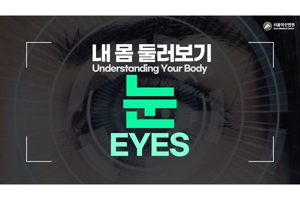 [Understanding Your Body] Eyes