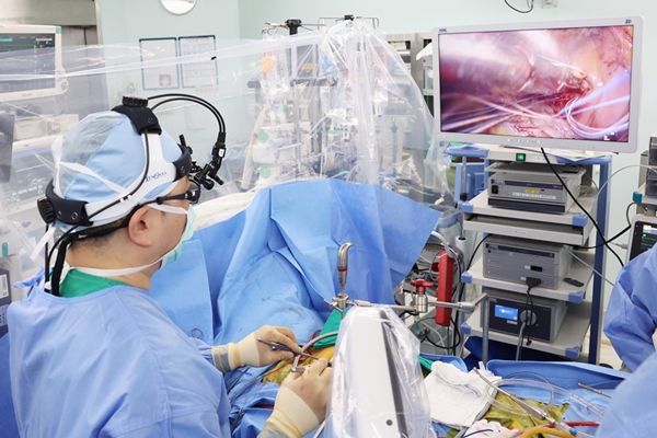 Korea’s First 500 Cases of Totally 3D Endoscopic Minimally Invasive Cardiac Surgery
